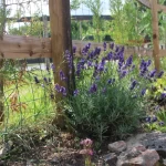 Policy page containing links to all our website policies and booking terms and conditions