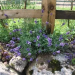 Image used on Privacy Policy and Terms and Conditions page