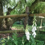 Informations importantes - important information