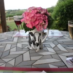 Views from the terrace. (Featured image on Contact Us/ Contactez page)